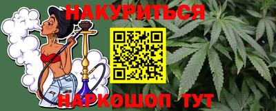 гашик Новозыбков