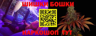 гашик Новозыбков