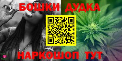 гашик Новозыбков