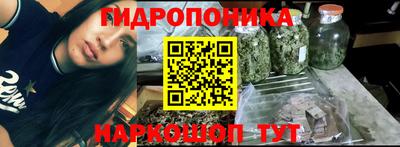 гашик Новозыбков