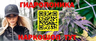 гашик Новозыбков