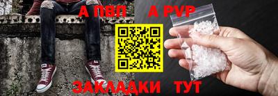 гашик Новозыбков