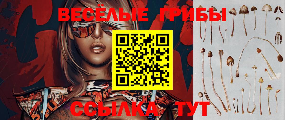 Псилоцибиновые грибы Psilocybine cubensis  Вход с VPN  Галлюциногенные грибы мухоморы  Усть-Илимск 