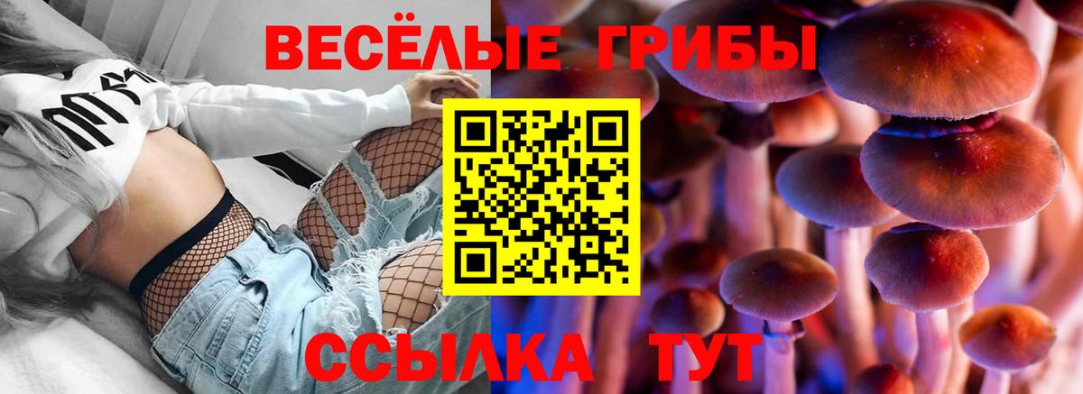 Марихуана  Мефедрон  Усть-Илимск  Меф МЯУ МЯУ   Гашиш  Вход с VPN 